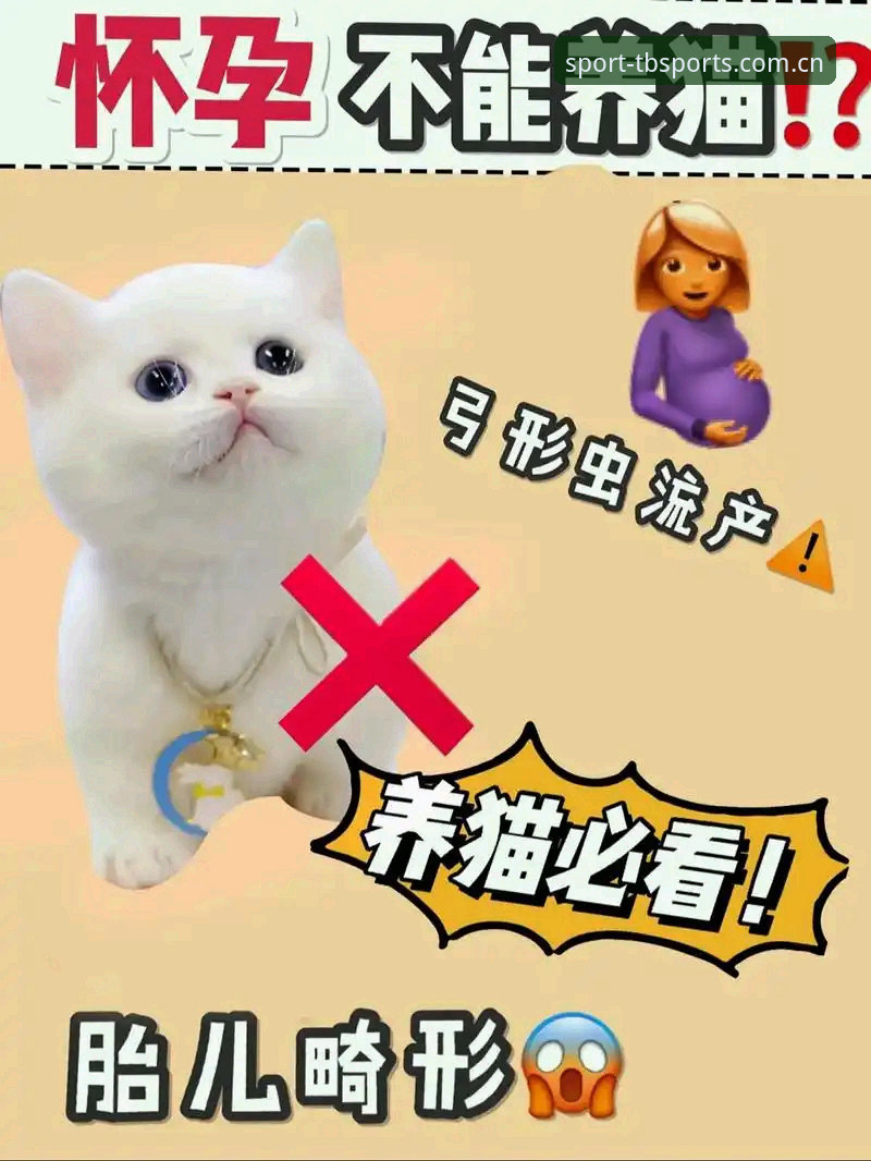 多宝体育下载安装攻略完整指南：从零到精通的全流程解析